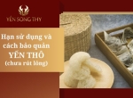 Cách bảo quản yến thô chưa nhặt lông đúng chuẩn