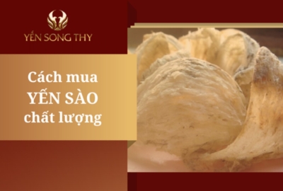 Hướng dẫn cách mua Yến Sào chất lượng nhất