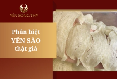 Phân biệt yến thật giả như thế nào? Hướng dẫn chọn tổ yến chất lượng