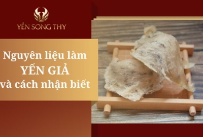 Tổ yến giả làm từ gì? Cần nhận biết để tránh tiền mất tật mang