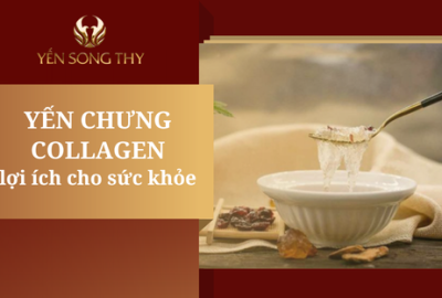 Yến chưng collagen là gì? Lợi ích với sức khỏe như thế nào