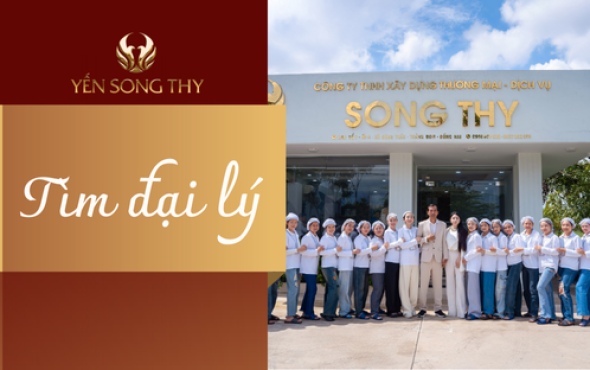 Tìm đại lý yến sào hợp tác chiết khấu cao cùng Yến Sào Song Thy (update: 23/8/2025)
